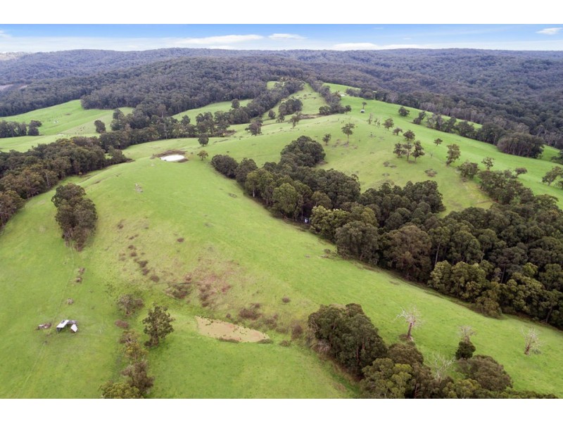 1720 Colac-Lavers Hill Road, Kawarren VIC 3249