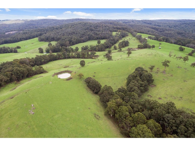 1720 Colac-Lavers Hill Road, Kawarren VIC 3249