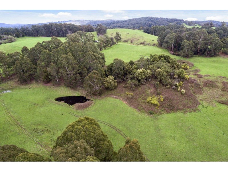 1720 Colac-Lavers Hill Road, Kawarren VIC 3249