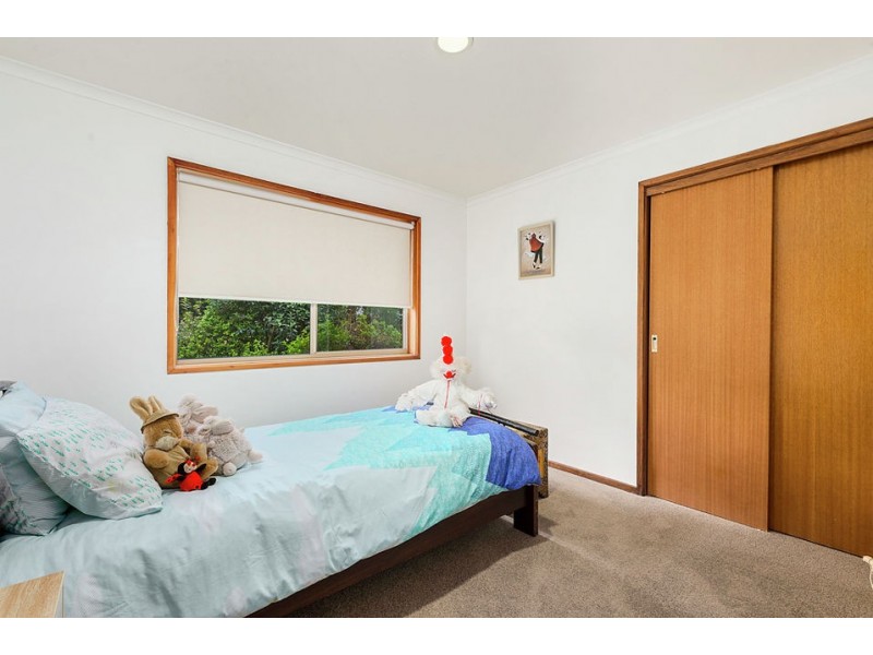 175 Barrys Road, Barongarook West VIC 3249