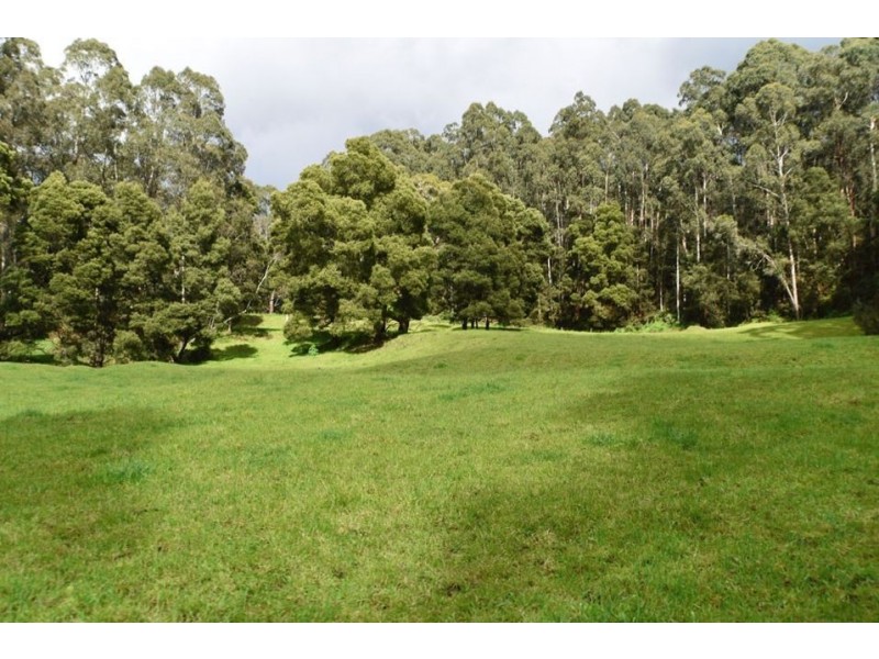 324 Frys Road, Gellibrand VIC 3239