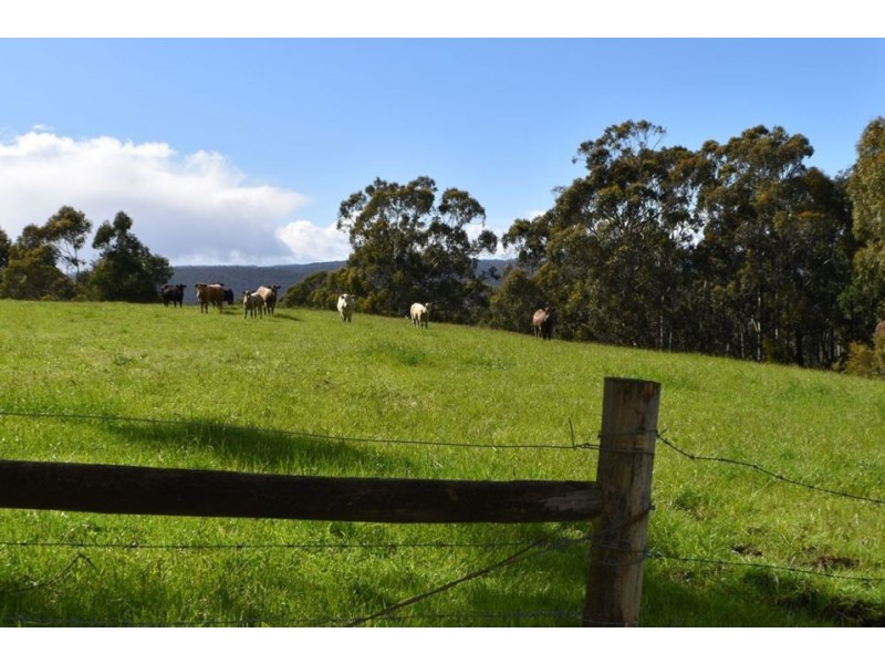 324 Frys Road, Gellibrand VIC 3239