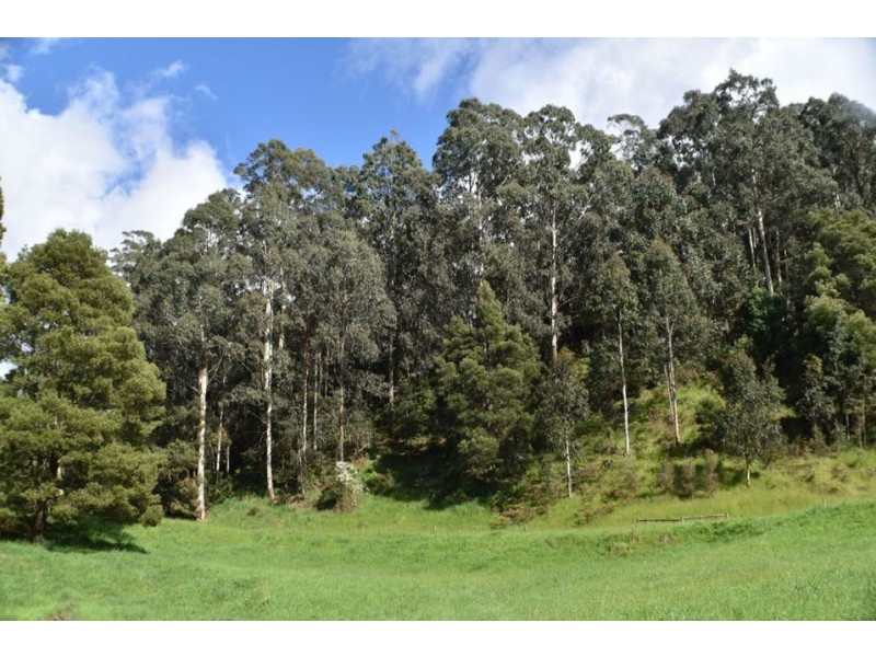 324 Frys Road, Gellibrand VIC 3239