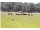1130 Tomahawk Creek Road, Irrewillipe VIC 3249