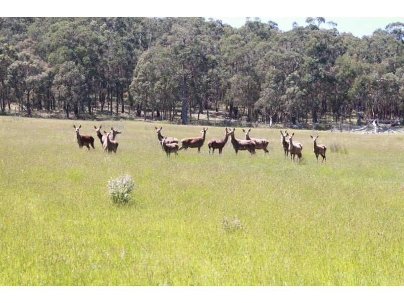 1130 Tomahawk Creek Road, Irrewillipe VIC 3249