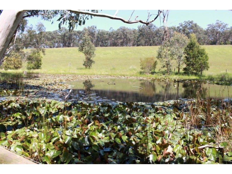 1130 Tomahawk Creek Road, Irrewillipe VIC 3249