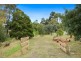 86A Wilson Street, Colac VIC 3250