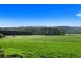 14 Carlisle-Gellibrand Road, Gellibrand VIC 3239