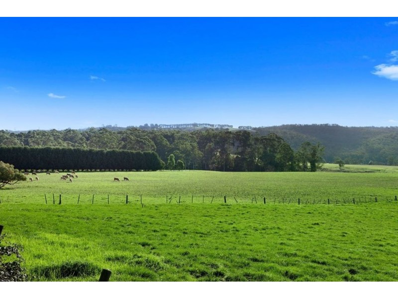 14 Carlisle-Gellibrand Road, Gellibrand VIC 3239