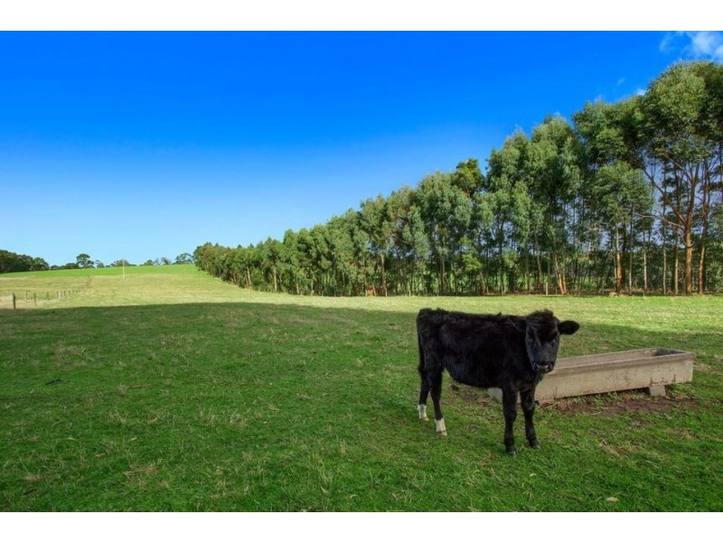 430 Old Yeo Road, Yeo VIC 3249