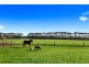 430 Old Yeo Road, Yeo VIC 3249