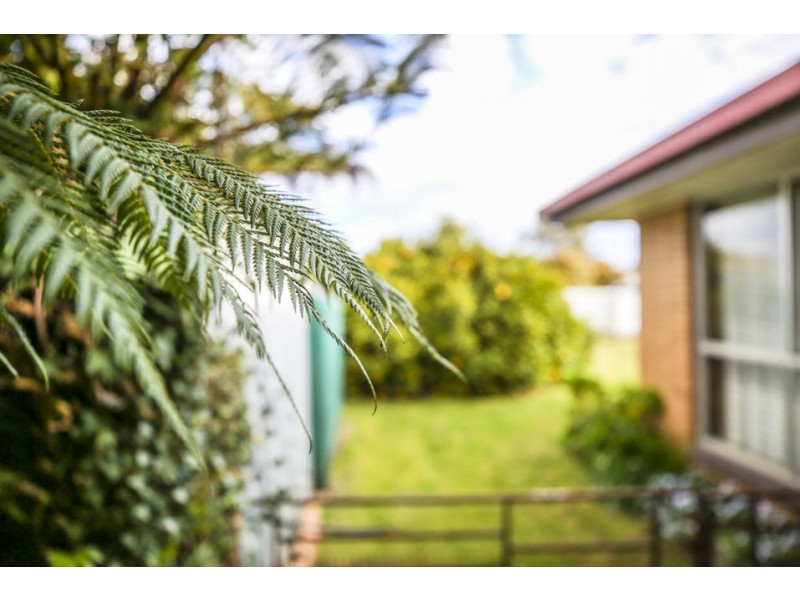 178 Pound Road, Elliminyt VIC 3250