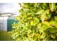 178 Pound Road, Elliminyt VIC 3250