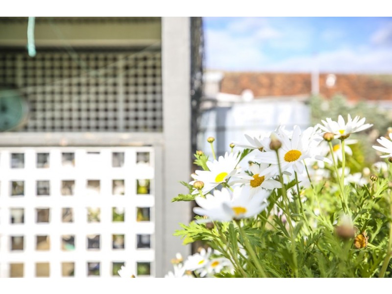 1 Hancock Street, Colac VIC 3250