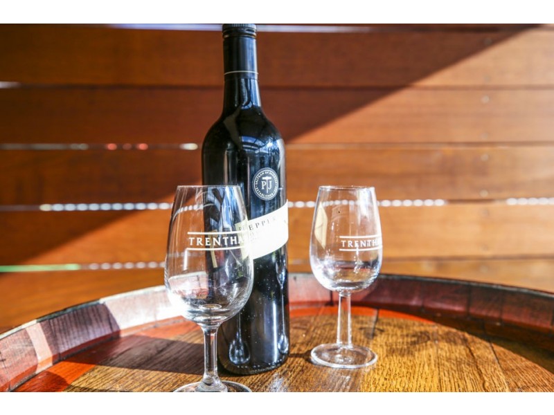 8 Leahy Court, Colac VIC 3250