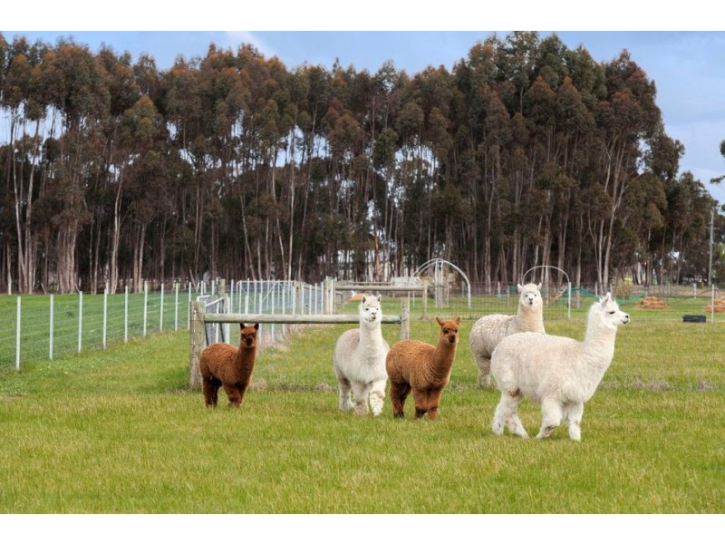 Lot 1 to 13 Sec OR Lots 1 to 9 & Lots 12 to 15 Section I – Forrest Street, Cressy VIC 3322