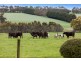 65 Collyers Road, Warncoort VIC 3243