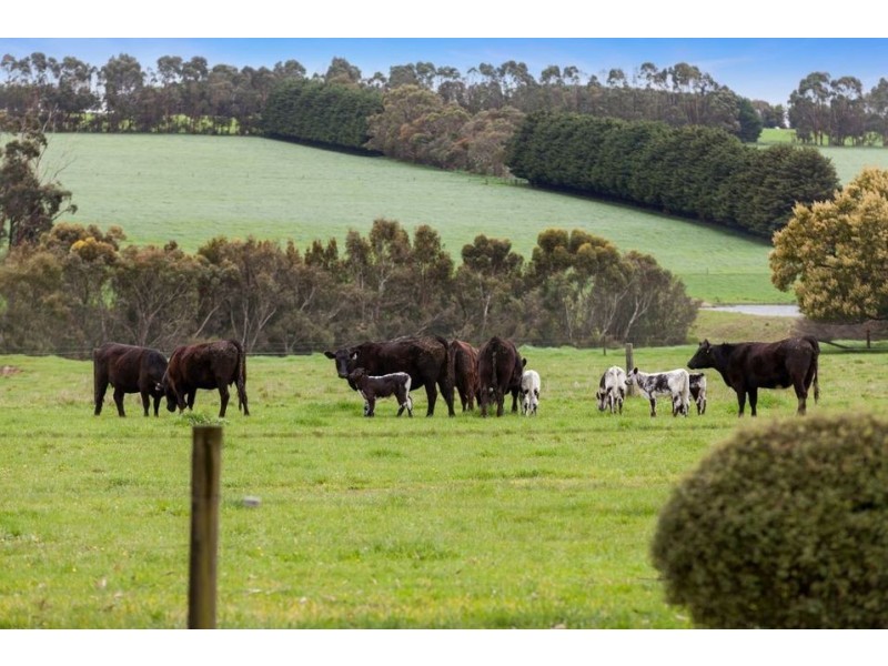 65 Collyers Road, Warncoort VIC 3243