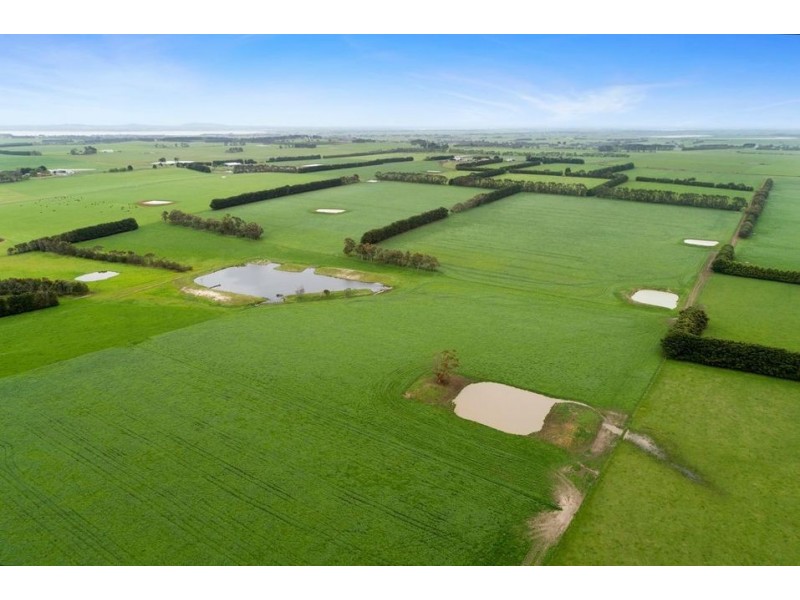 65 Collyers Road, Warncoort VIC 3243