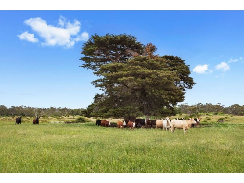 2010 Princes Highway, Pirron Yallock VIC 3249