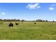2010 Princes Highway, Pirron Yallock VIC 3249