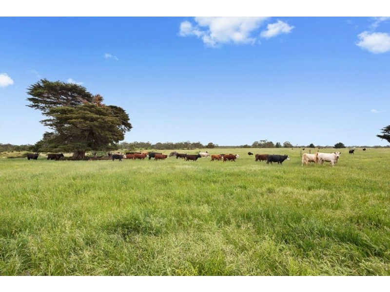 2010 Princes Highway, Pirron Yallock VIC 3249