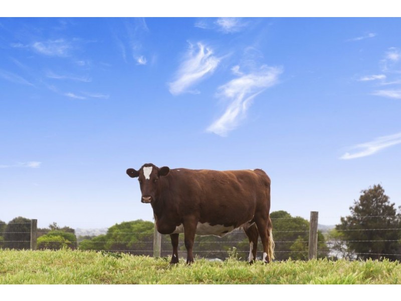 5 Beeac-Cemetery Road, Beeac VIC 3251