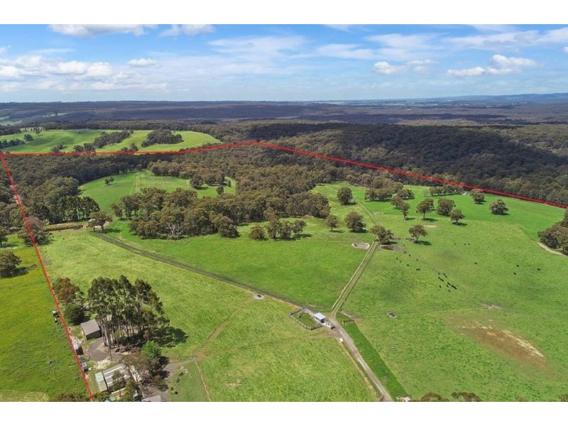 155 Ridge Road, Kawarren VIC 3249