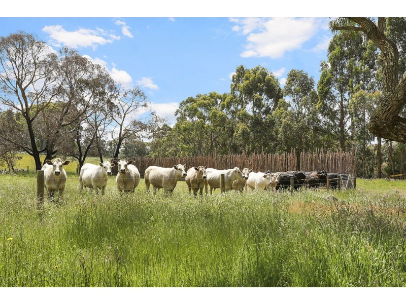 155 Ridge Road, Kawarren VIC 3249