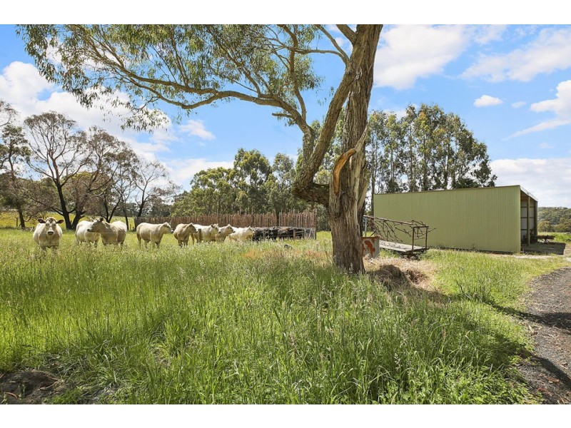 155 Ridge Road, Kawarren VIC 3249