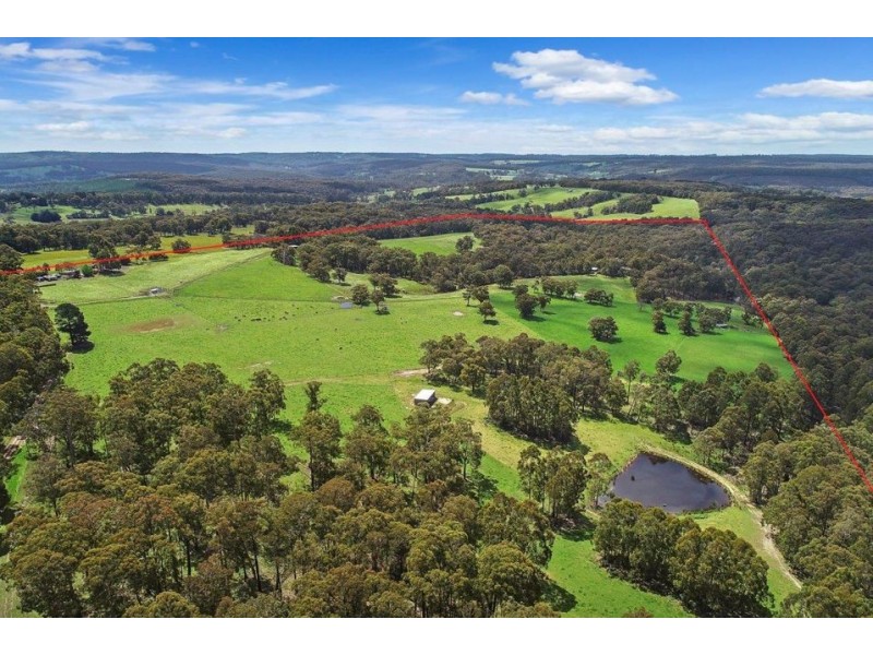 155 Ridge Road, Kawarren VIC 3249
