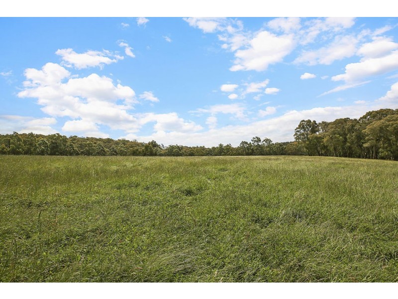 155 Ridge Road, Kawarren VIC 3249
