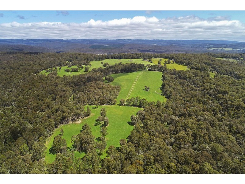 155 Ridge Road, Kawarren VIC 3249