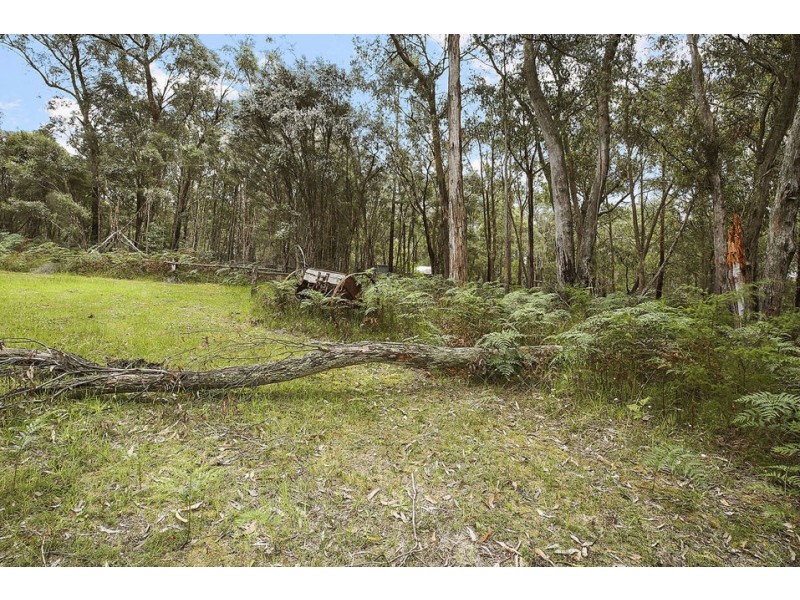 155 Ridge Road, Kawarren VIC 3249
