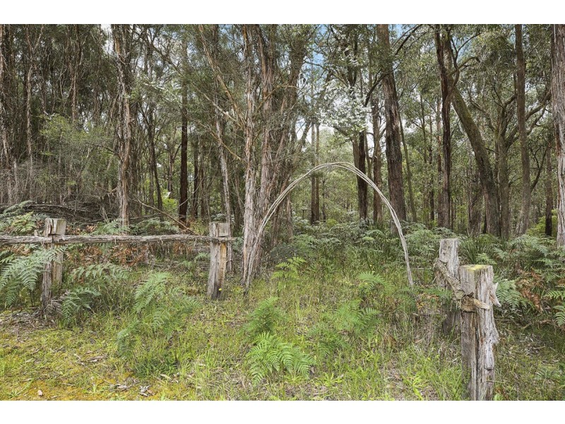 155 Ridge Road, Kawarren VIC 3249