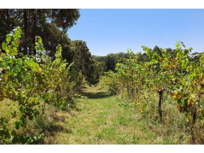 30 Hoveys Rd, Barongarook West VIC 3249