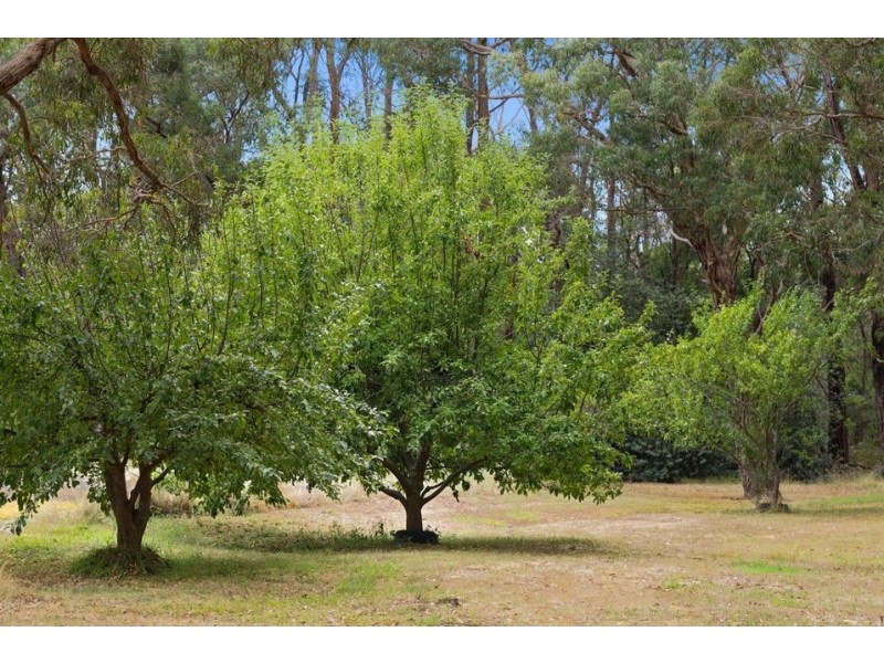 15 Old Mill Road, Barwon Downs VIC 3243