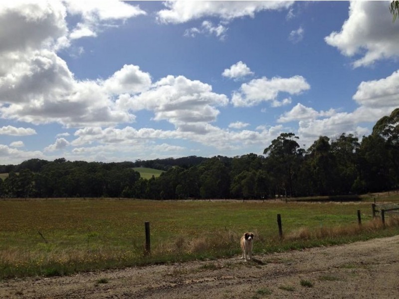 55 Johnsons Road Extension, Barongarook VIC 3249