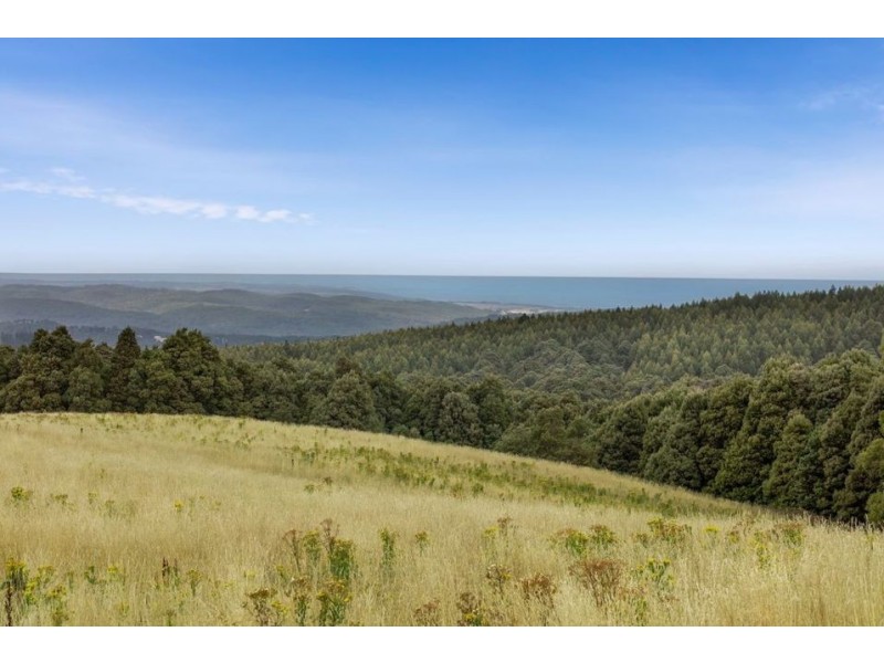 5225 Colac Lavers Hill Road, Lavers Hill VIC 3238