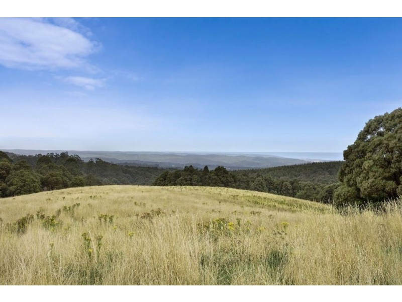 5225 Colac Lavers Hill Road, Lavers Hill VIC 3238