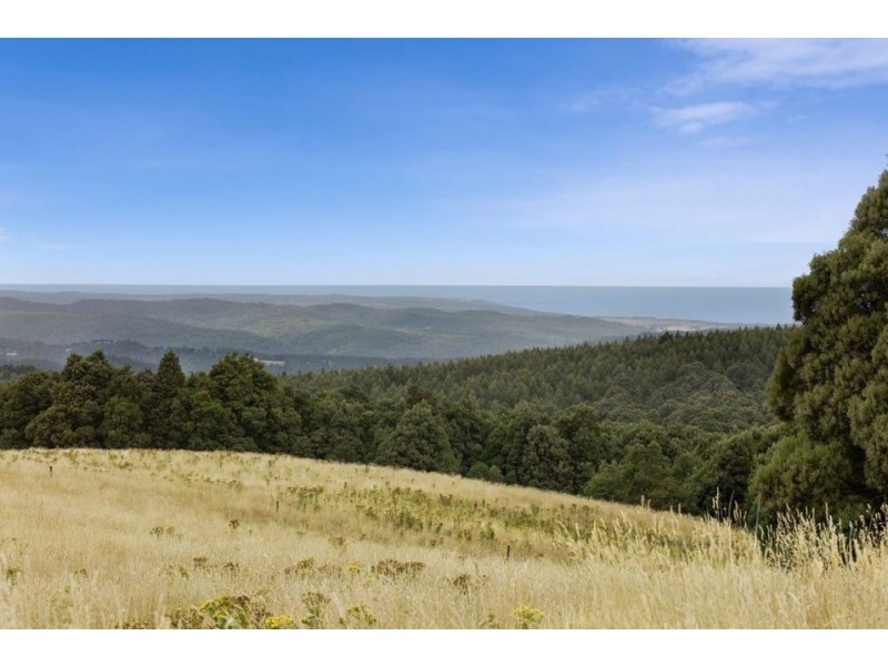 5225 Colac Lavers Hill Road, Lavers Hill VIC 3238