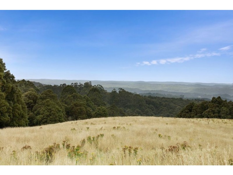 5225 Colac Lavers Hill Road, Lavers Hill VIC 3238