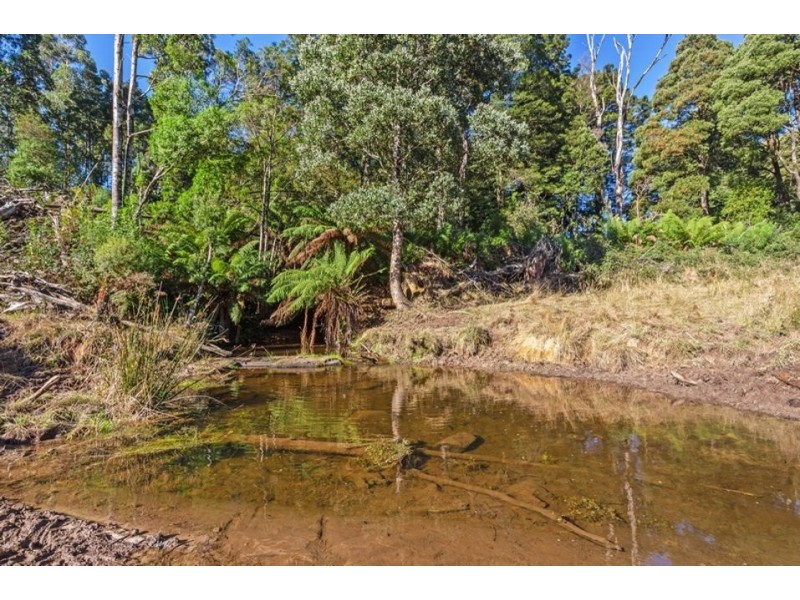 320 Phillips Track, Ferguson VIC 3237