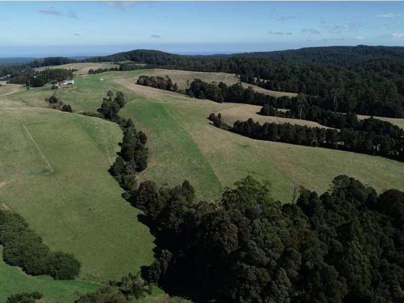 320 Phillips Track, Ferguson VIC 3237