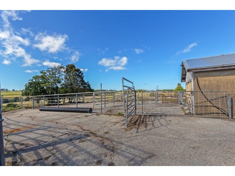 320 Phillips Track, Ferguson VIC 3237
