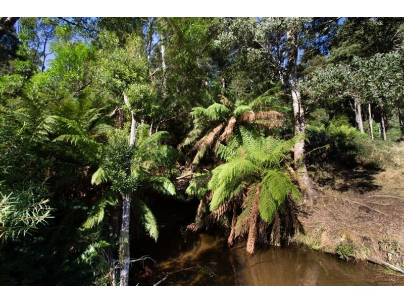 320 Phillips Track, Ferguson VIC 3237