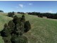 320 Phillips Track, Ferguson VIC 3237