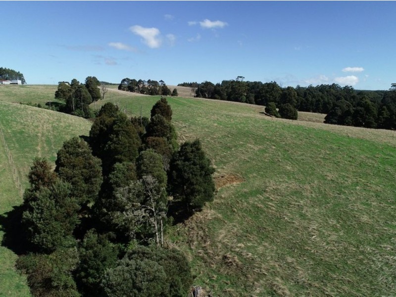 320 Phillips Track, Ferguson VIC 3237