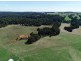 320 Phillips Track, Ferguson VIC 3237
