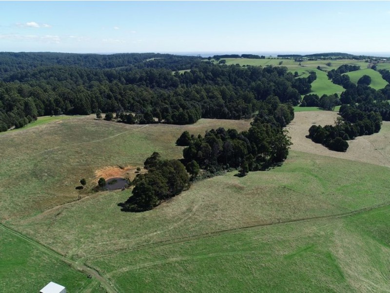 320 Phillips Track, Ferguson VIC 3237